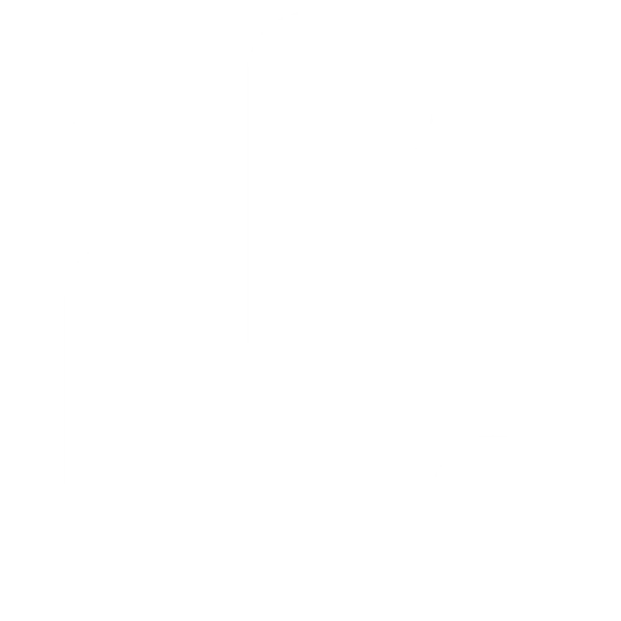 white-logo-icon