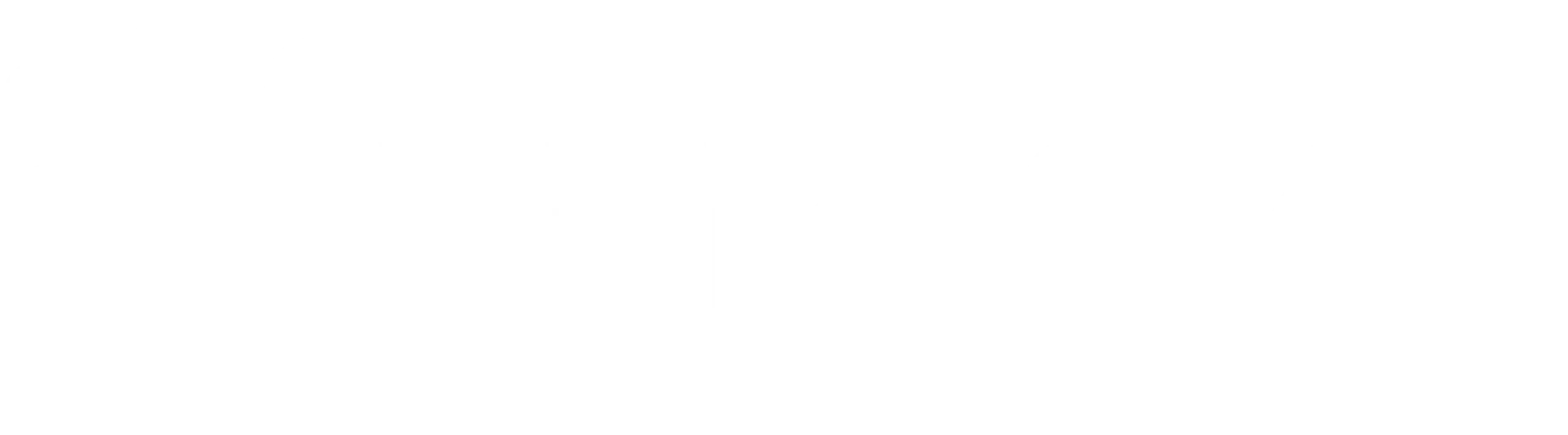 white-logo